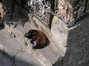 SUR LES REMPARTS 9